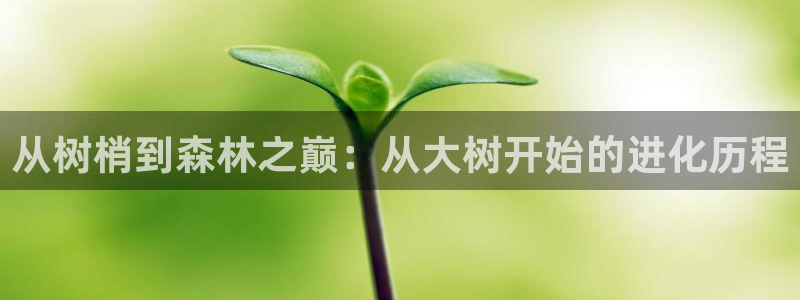 异世界天堂漫画