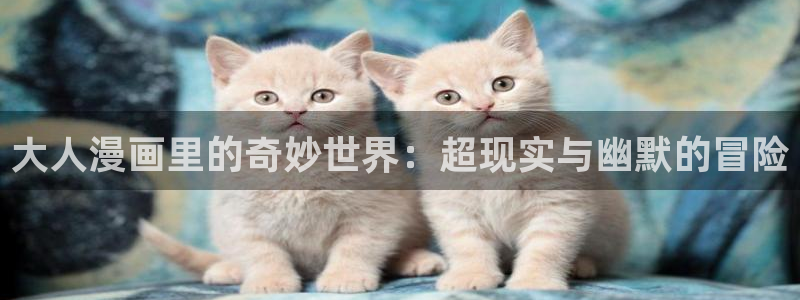 天堂漫画加速器