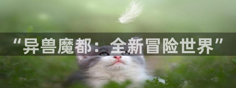 斗罗大陆漫画完整天堂漫画