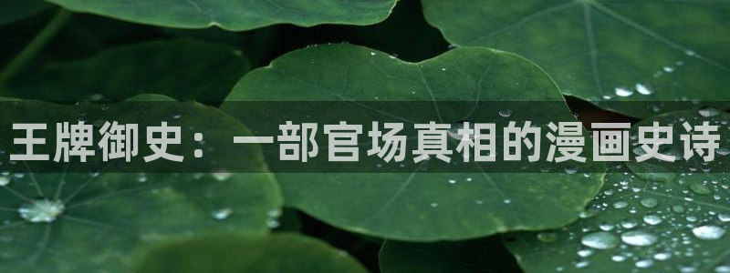 天堂漫画comic1.6.3破解版