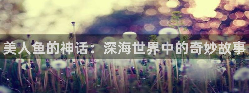 亚洲成人动漫天堂